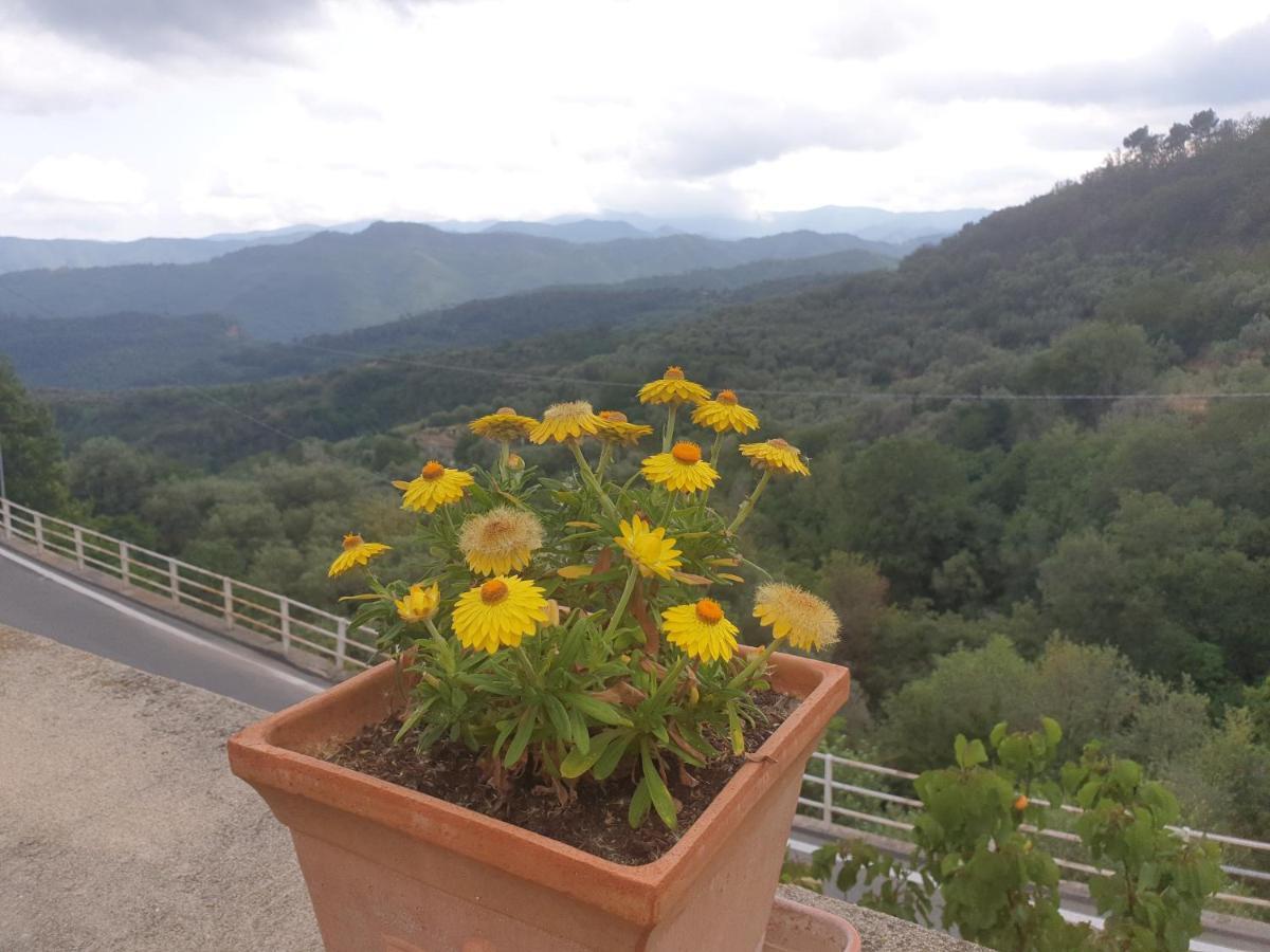 Bed & Breakfast Ca' Di Vissai Arnasco 外观 照片