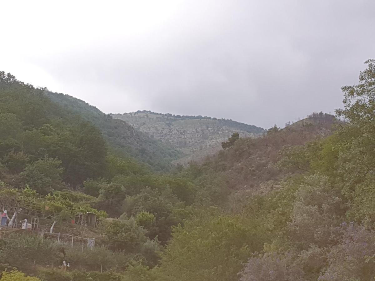 Bed & Breakfast Ca' Di Vissai Arnasco 外观 照片