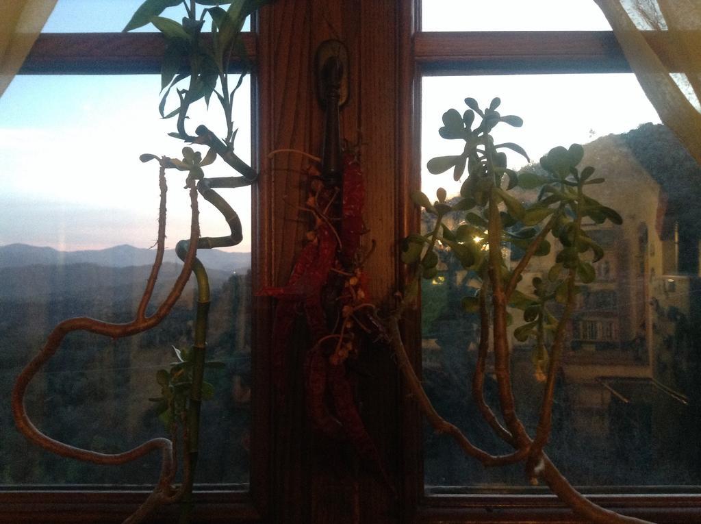 Bed & Breakfast Ca' Di Vissai Arnasco 外观 照片