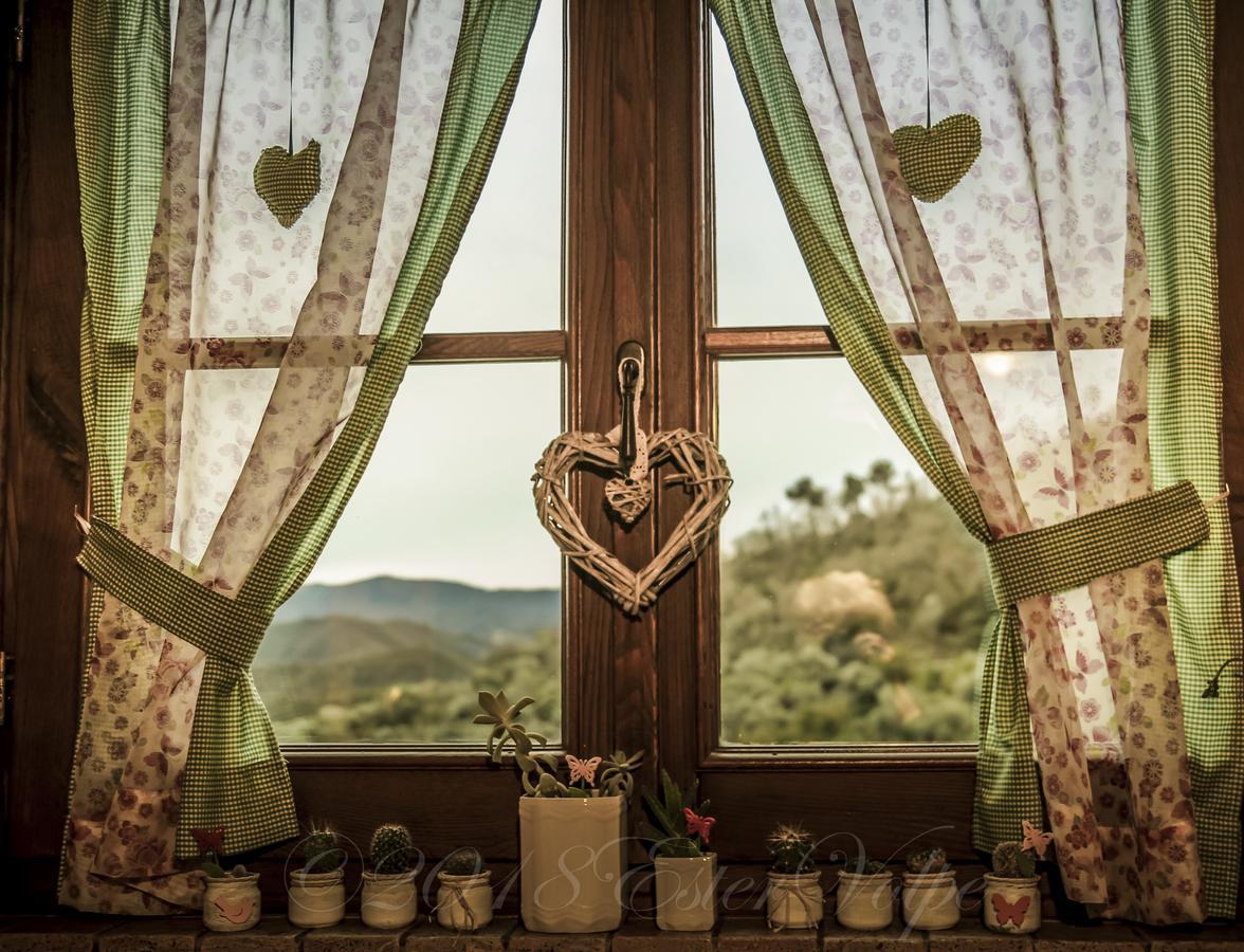 Bed & Breakfast Ca' Di Vissai Arnasco 外观 照片