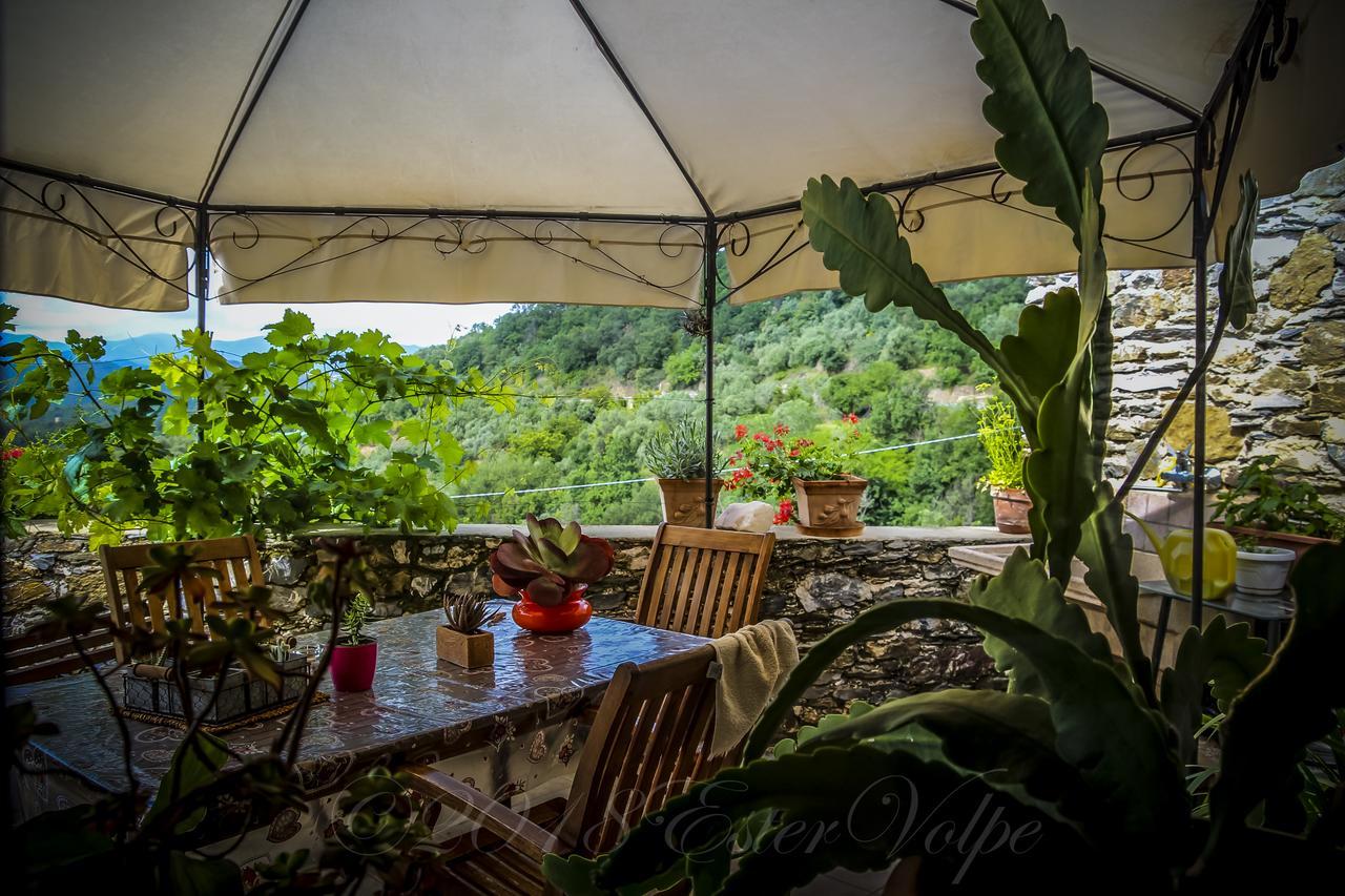 Bed & Breakfast Ca' Di Vissai Arnasco 外观 照片